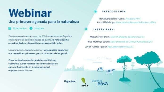 webinar apia bbva