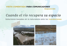 Visita guiada para periodistas a una exposición en Zaragoza sobre el papel de la naturaleza ante las inundaciones de los ríos