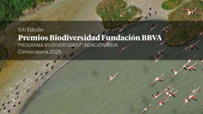 WEB PERIODISTAS (19)