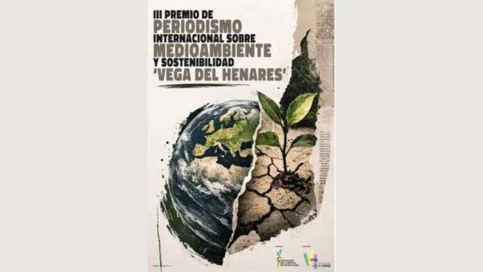 WEB PERIODISTAS (9)