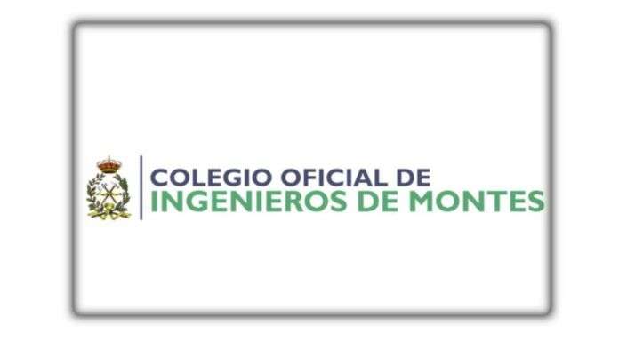 WEB PERIODISTAS (69)